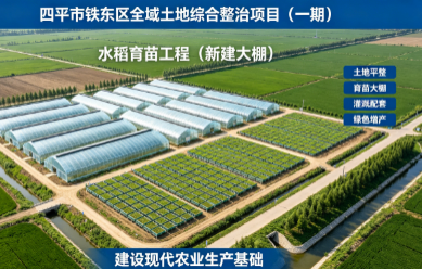四平市铁东区全域土地综合整治项目（一期）-水稻育苗工程（新建大棚）